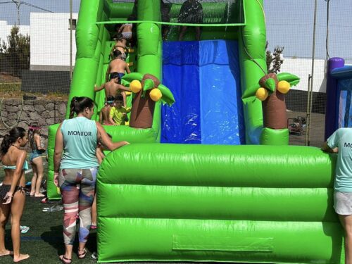 Alquiler-de-castillos-hinchables-Acuaticos-Valencia-modelo-jungla-con-piscina
